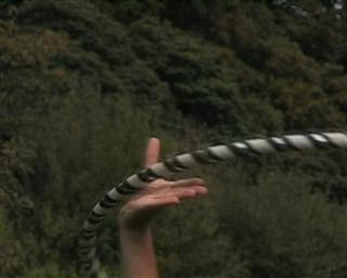 Hula Hoop nach links drehen